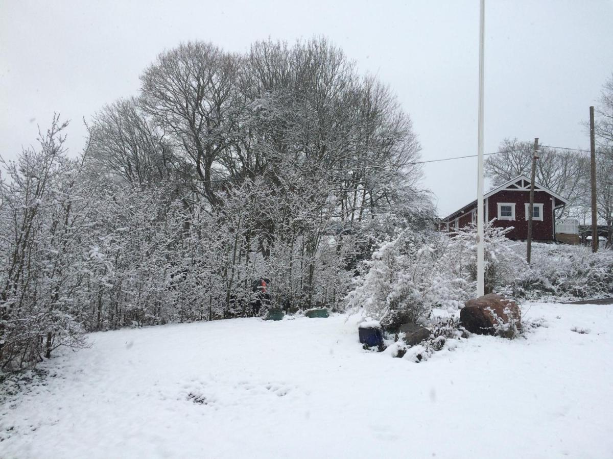 Vila Braenntorps Gard Kolmården Exteriér fotografie
